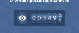 Illustration on the topic How to see who viewed a photo on VK: applications, view counter
