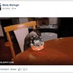 как гифку сохранить