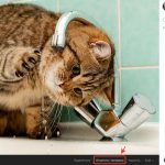 Как отметить человека на фото ВК