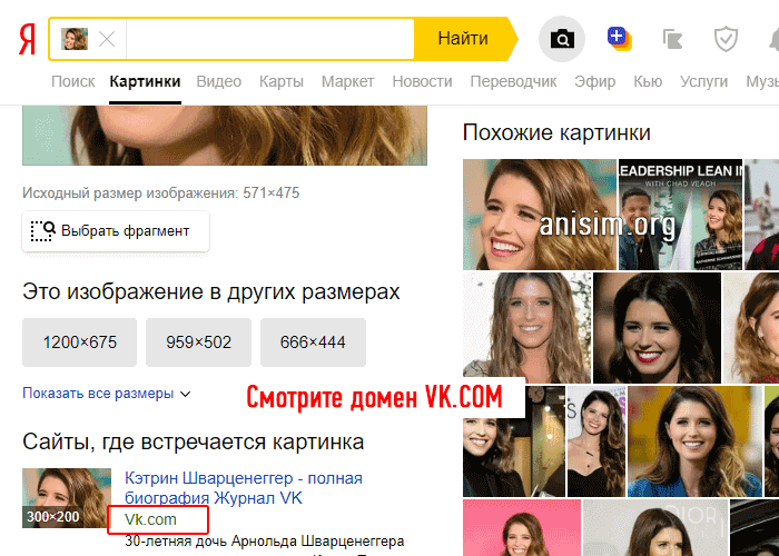 Найти похожие картинки