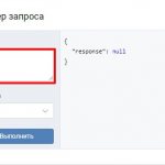 Скриншот Раздел Пример запроса в ВК