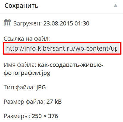 Загрузить картинку в интернет и получить ссылку